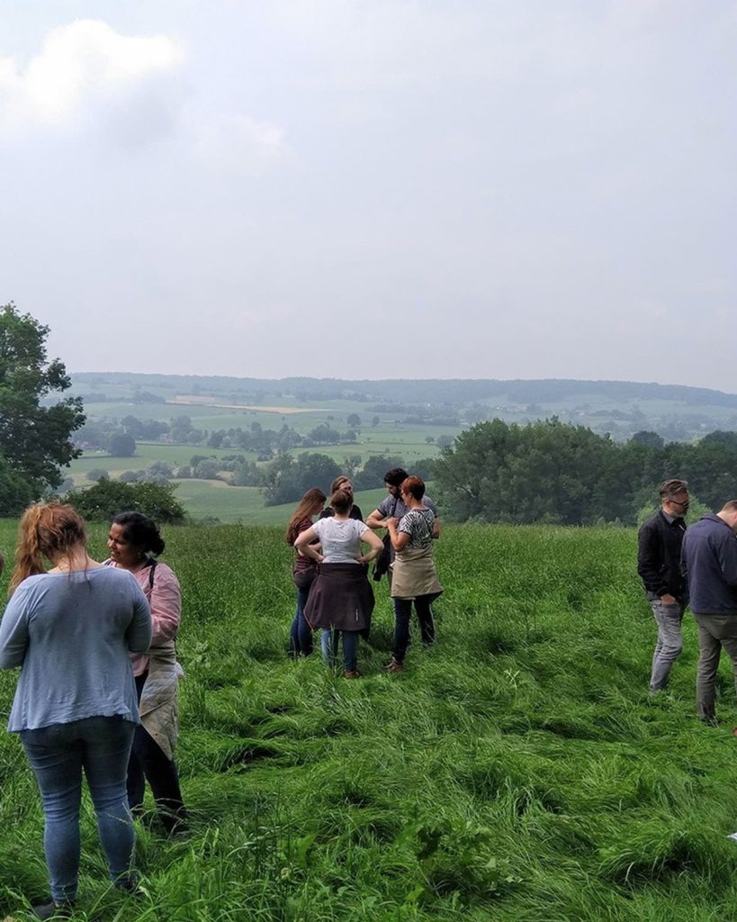 Teamsessie in het heuvelland, groep in gesprek in een weiland met uitzicht