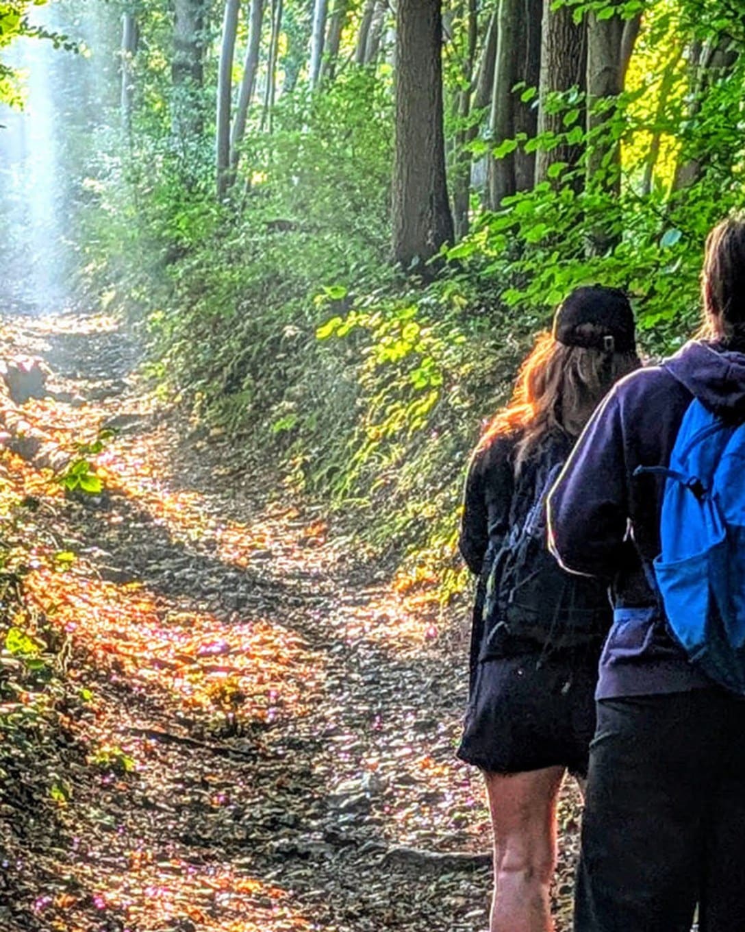 Twee deelnemers wandelen door een zonnig bos in het Heuvelland tijdens het blok Het hoofd